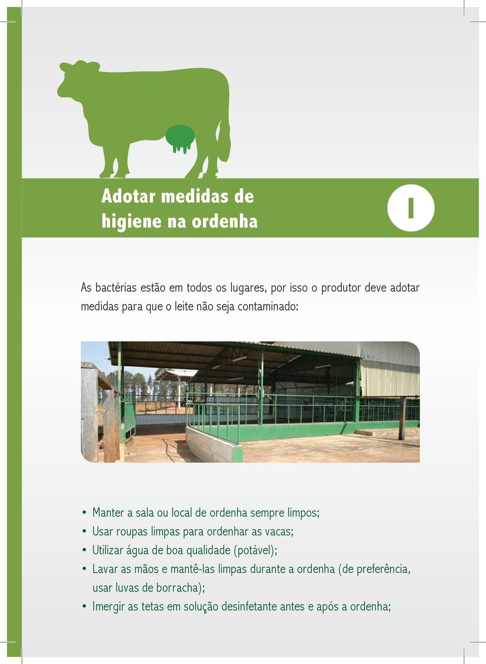 limpas para ordenhar as vacas; Utilizar água de boa qualidade (potável); Lavar as mãos e mantê-las limpas