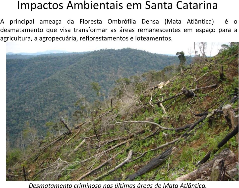 áreas remanescentes em espaço para a agricultura, a agropecuária,