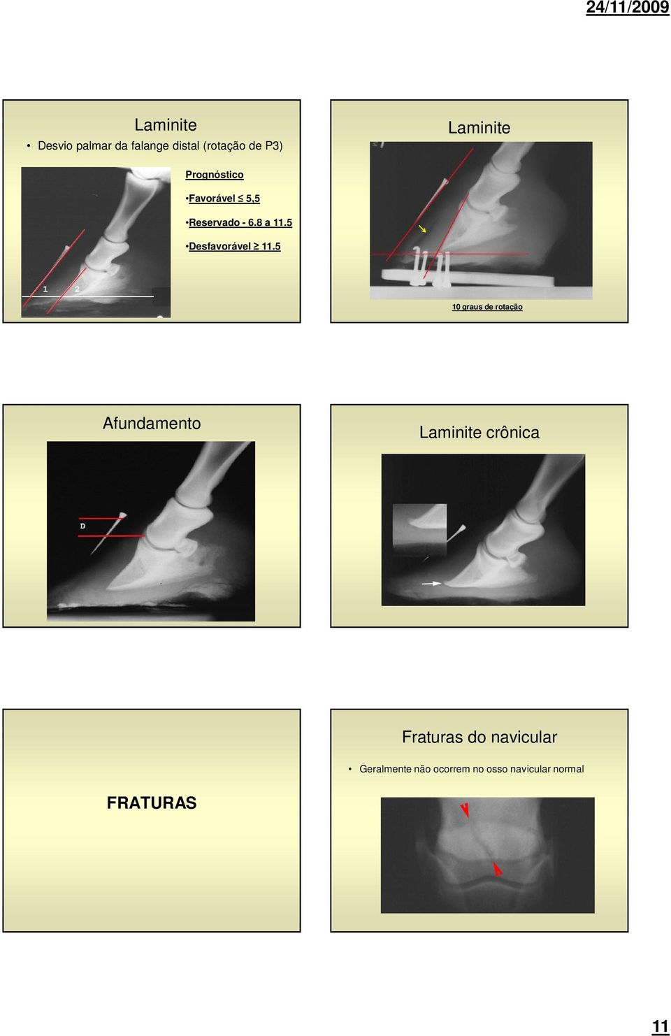 5 10 graus de rotação Afundamento Laminite crônica Fraturas do