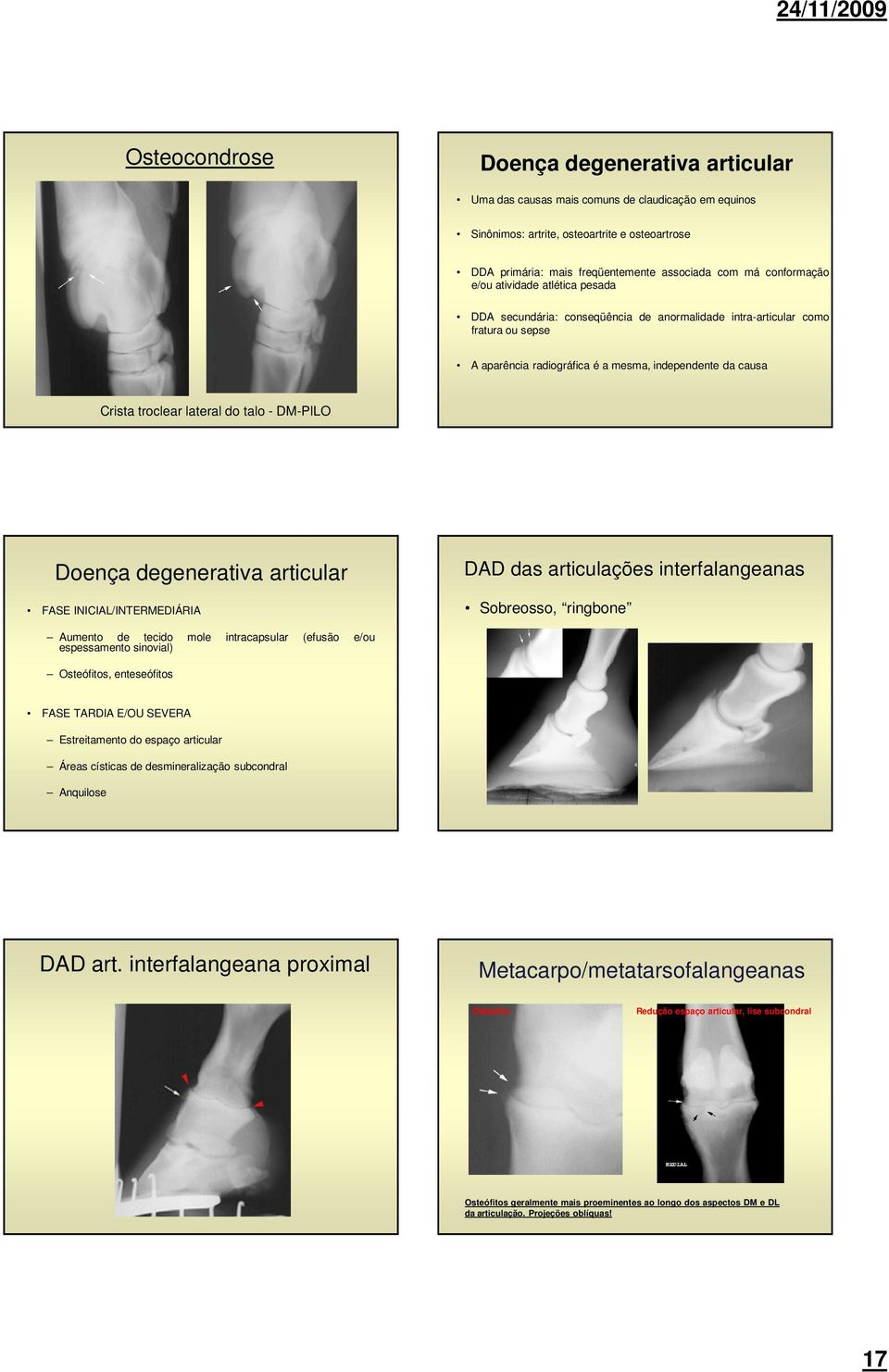 lateral do talo - DM-PlLO Doença degenerativa articular FASE INICIAL/INTERMEDIÁRIA DAD das articulações interfalangeanas Sobreosso, ringbone Aumento de tecido mole intracapsular (efusão e/ou