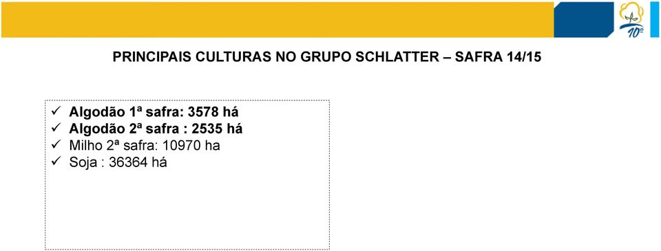 safra: 3578 há Algodão 2ª safra :