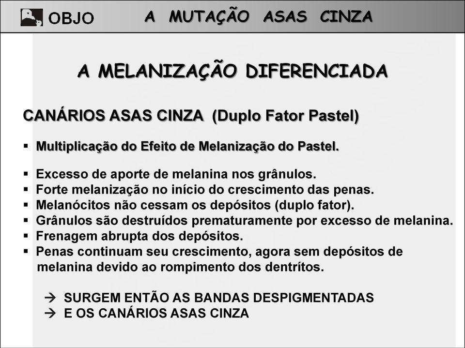 Melanócitos não cessam os depósitos (duplo fator). Grânulos são destruídos prematuramente por excesso de melanina.