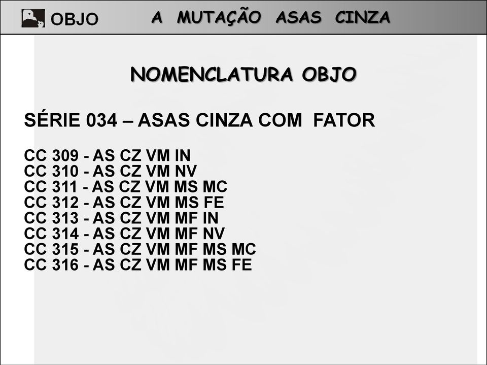 312 - AS CZ VM MS FE CC 313 - AS CZ VM MF IN CC 314 - AS CZ