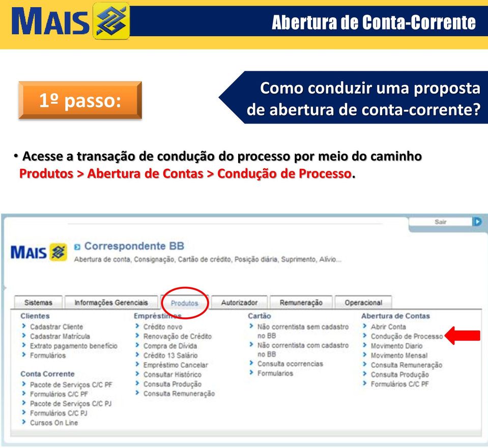 Acesse a transação de condução do processo