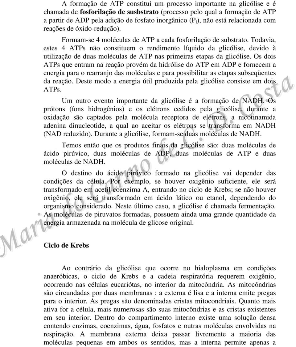 Todavia, estes 4 ATPs não constituem o rendimento líquido da glicólise, devido à utilização de duas moléculas de ATP nas primeiras etapas da glicólise.