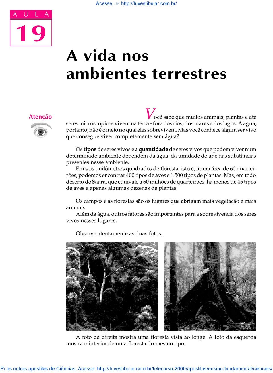 A água, portanto, não é o meio no qual eles sobrevivem. Mas você conhece algum ser vivo que consegue viver completamente sem água?