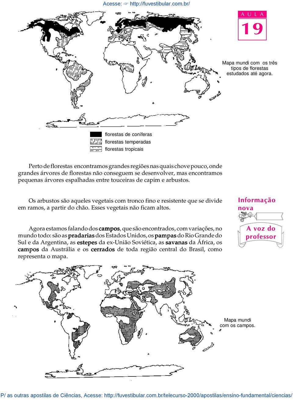 mas encontramos pequenas árvores espalhadas entre touceiras de capim e arbustos. Os arbustos são aqueles vegetais com tronco fino e resistente que se divide em ramos, a partir do chão.