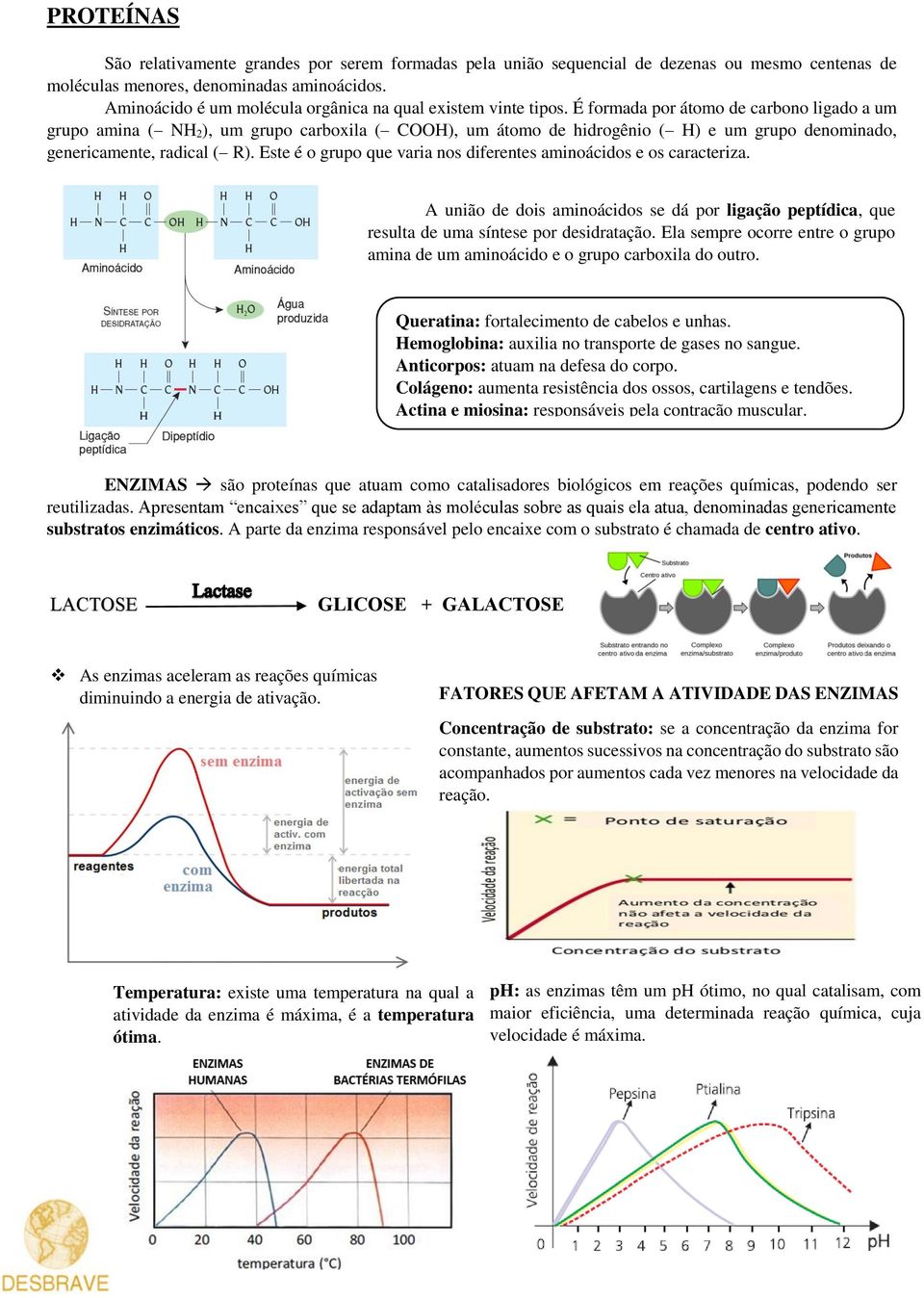 É formada por átomo de carbono ligado a um grupo amina ( NH 2), um grupo carboxila ( COOH), um átomo de hidrogênio ( H) e um grupo denominado, genericamente, radical ( R).