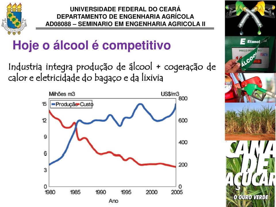 álcool + cogeração de calor e