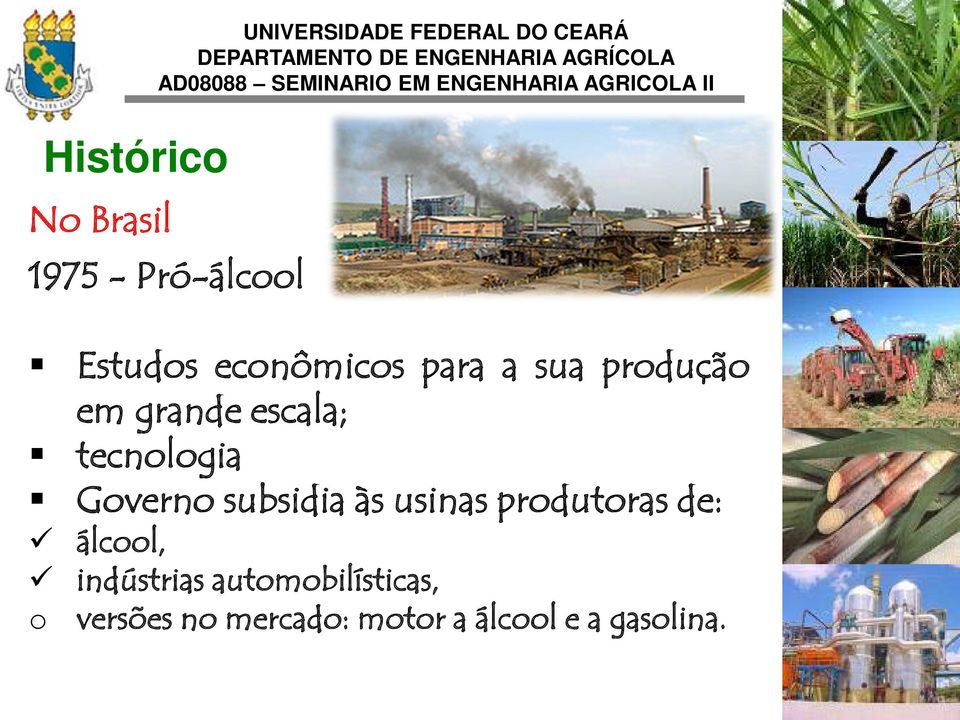 escala; tecnologia Governo subsidia às usinas produtoras de: