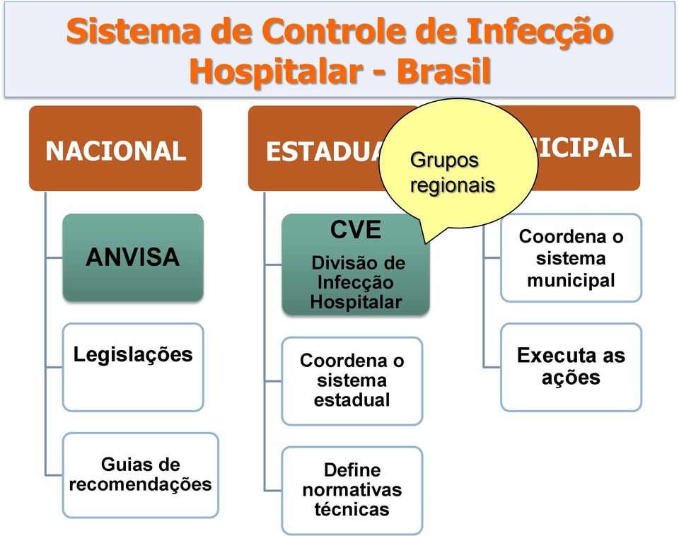 de Infecção Hospitalar Coordena o sistema estadual Coordena o