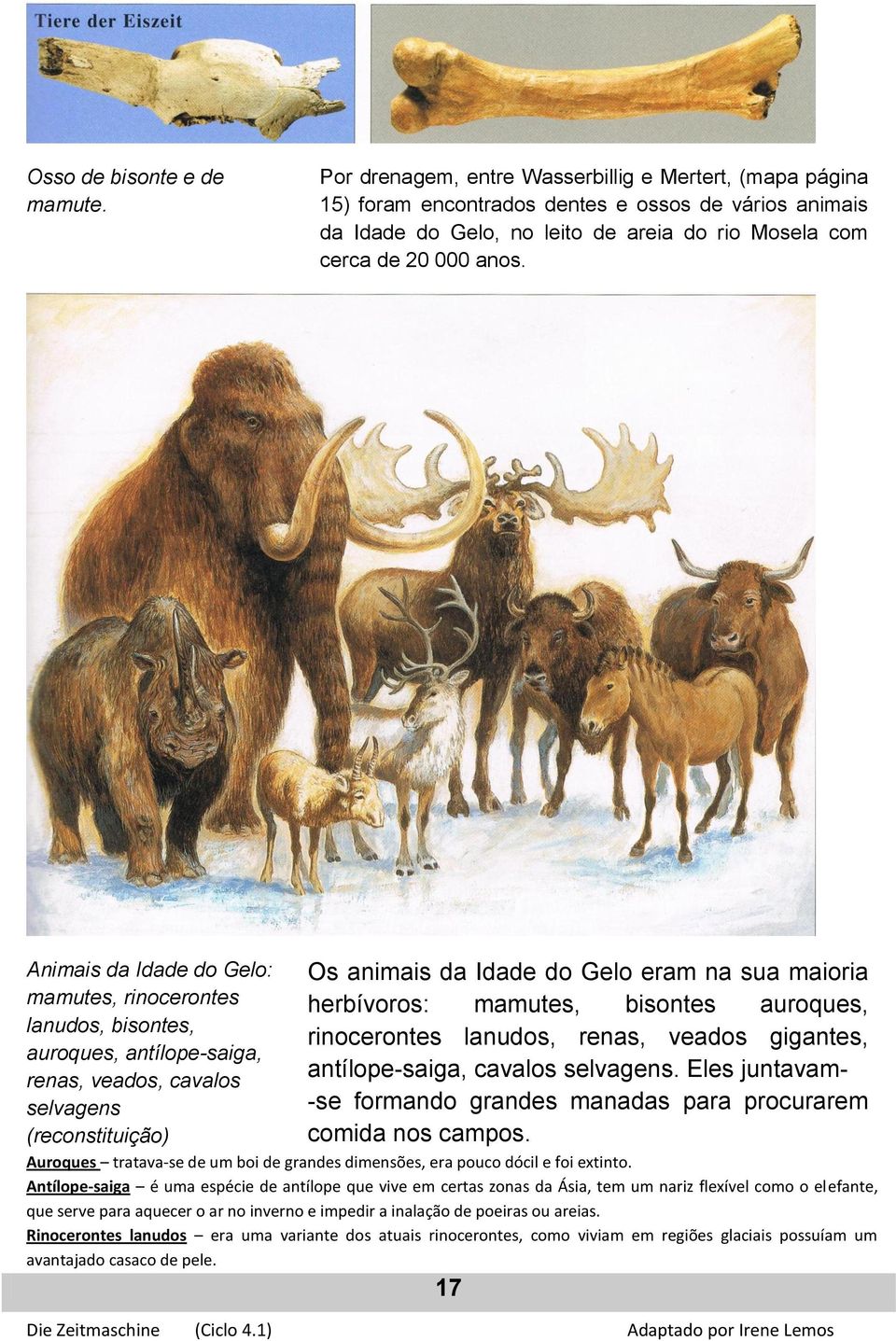 Animais da Idade do Gelo: mamutes, rinocerontes lanudos, bisontes, auroques, antílope-saiga, renas, veados, cavalos selvagens Os animais da Idade do Gelo eram na sua maioria herbívoros: mamutes,