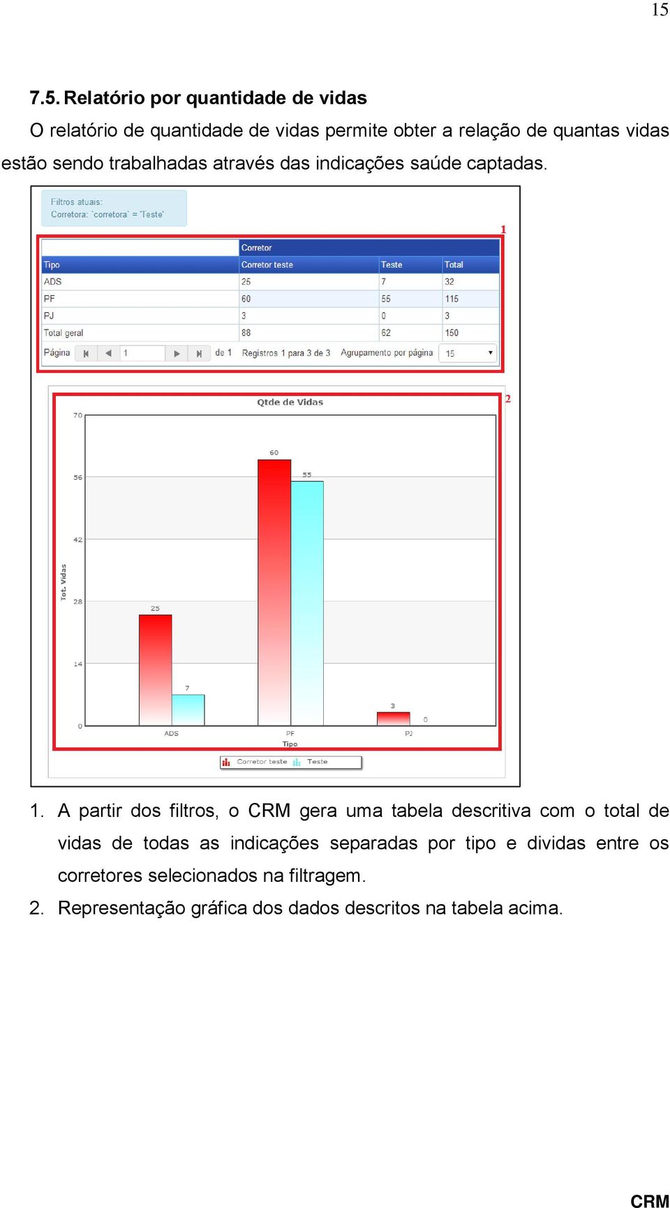 A partir dos filtros, o gera uma tabela descritiva com o total de vidas de todas as indicações