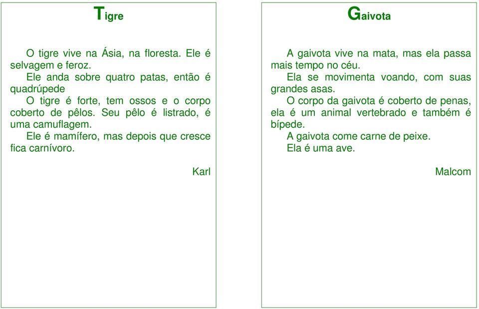 Seu pêlo é listrado, é uma camuflagem. Ele é mamífero, mas depois que cresce fica carnívoro.