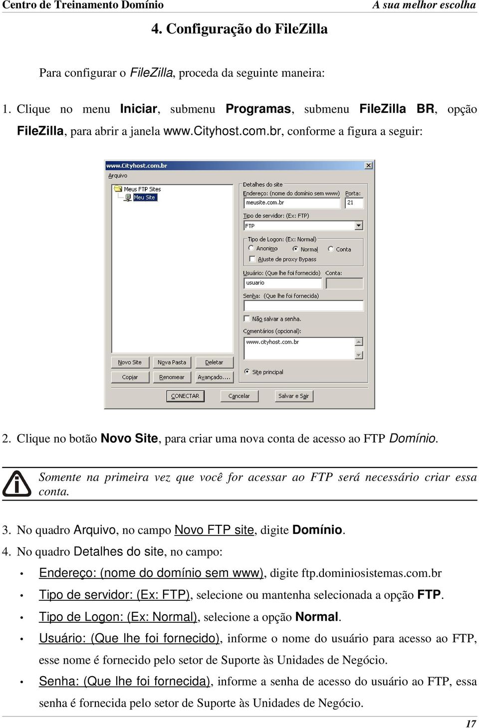 Somente na primeira vez que você for acessar ao FTP será necessário criar essa conta. 3. No quadro Arquivo, no campo Novo FTP site, digite Domínio. 4.