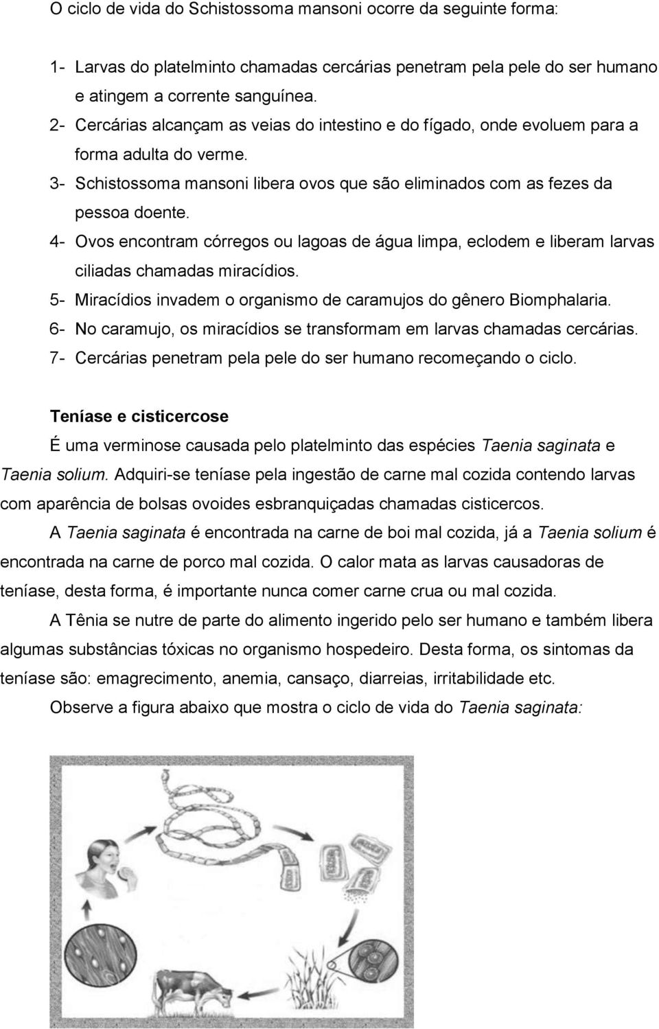 4- Ovos encontram córregos ou lagoas de água limpa, eclodem e liberam larvas ciliadas chamadas miracídios. 5- Miracídios invadem o organismo de caramujos do gênero Biomphalaria.