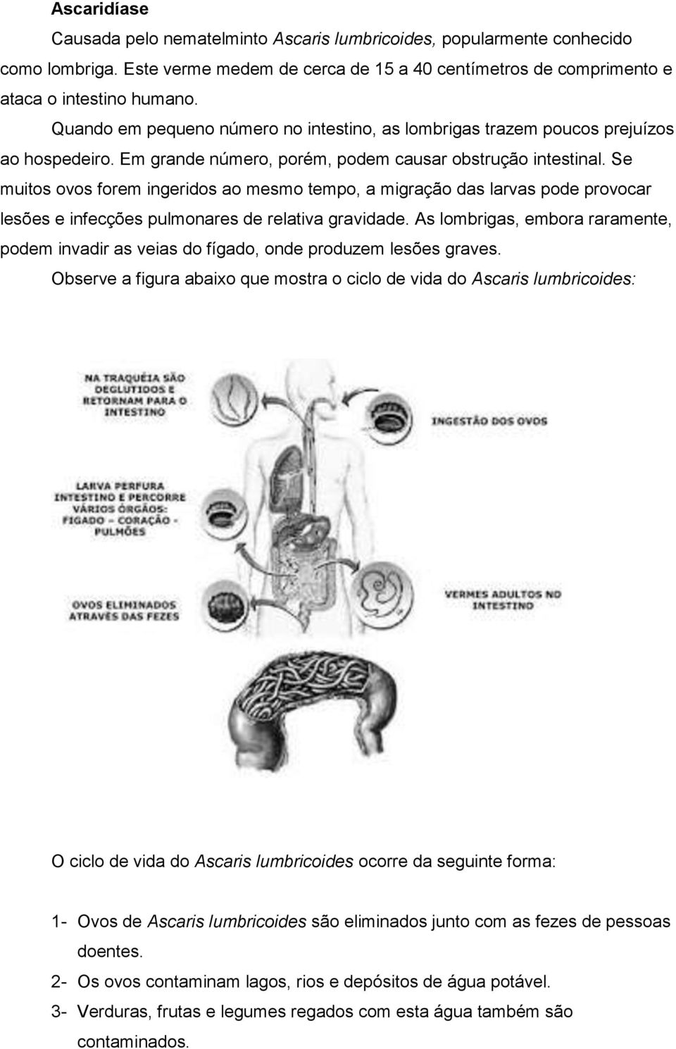 Se muitos ovos forem ingeridos ao mesmo tempo, a migração das larvas pode provocar lesões e infecções pulmonares de relativa gravidade.