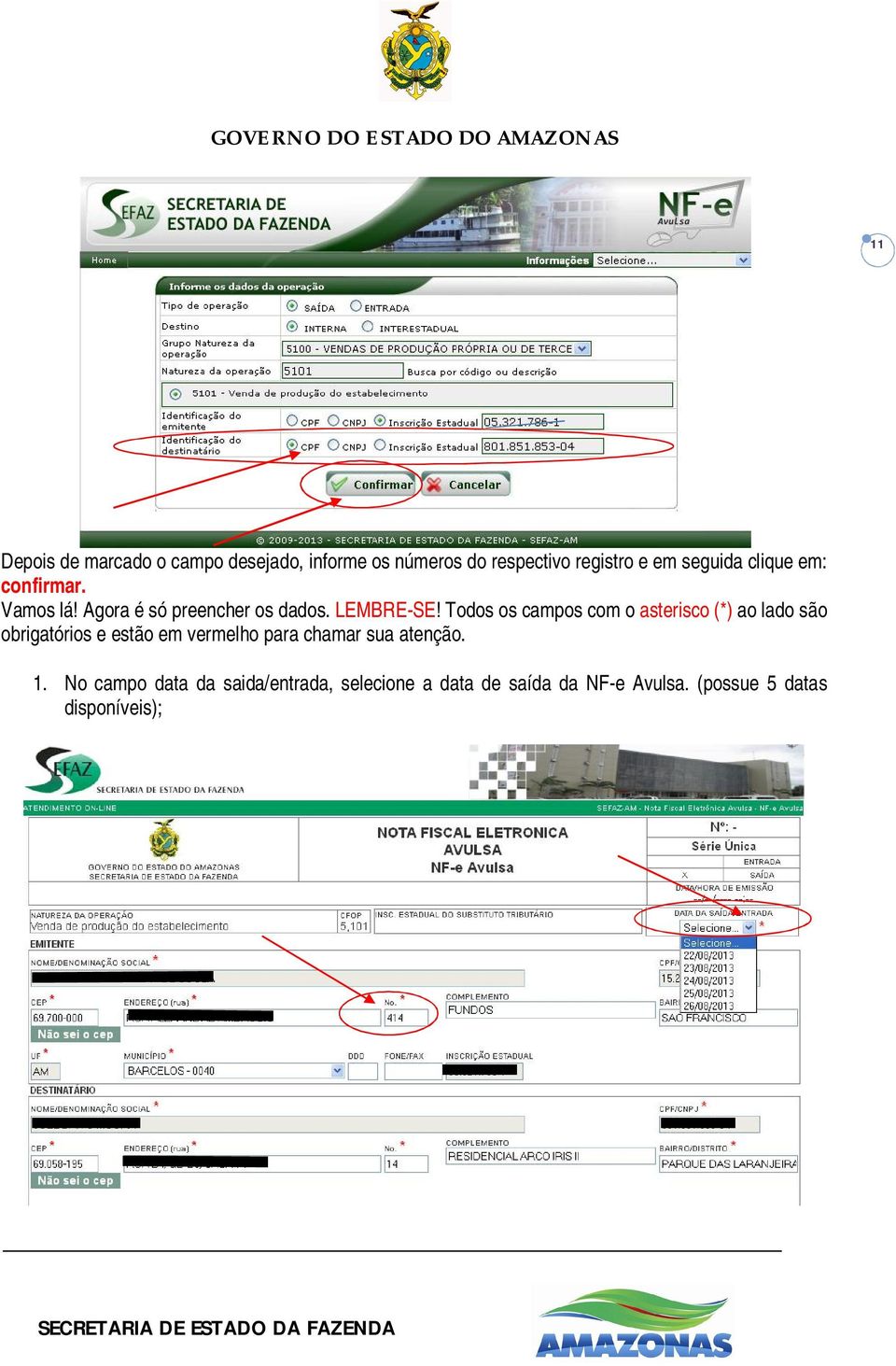 Todos os campos com o asterisco (*) ao lado são obrigatórios e estão em vermelho para chamar