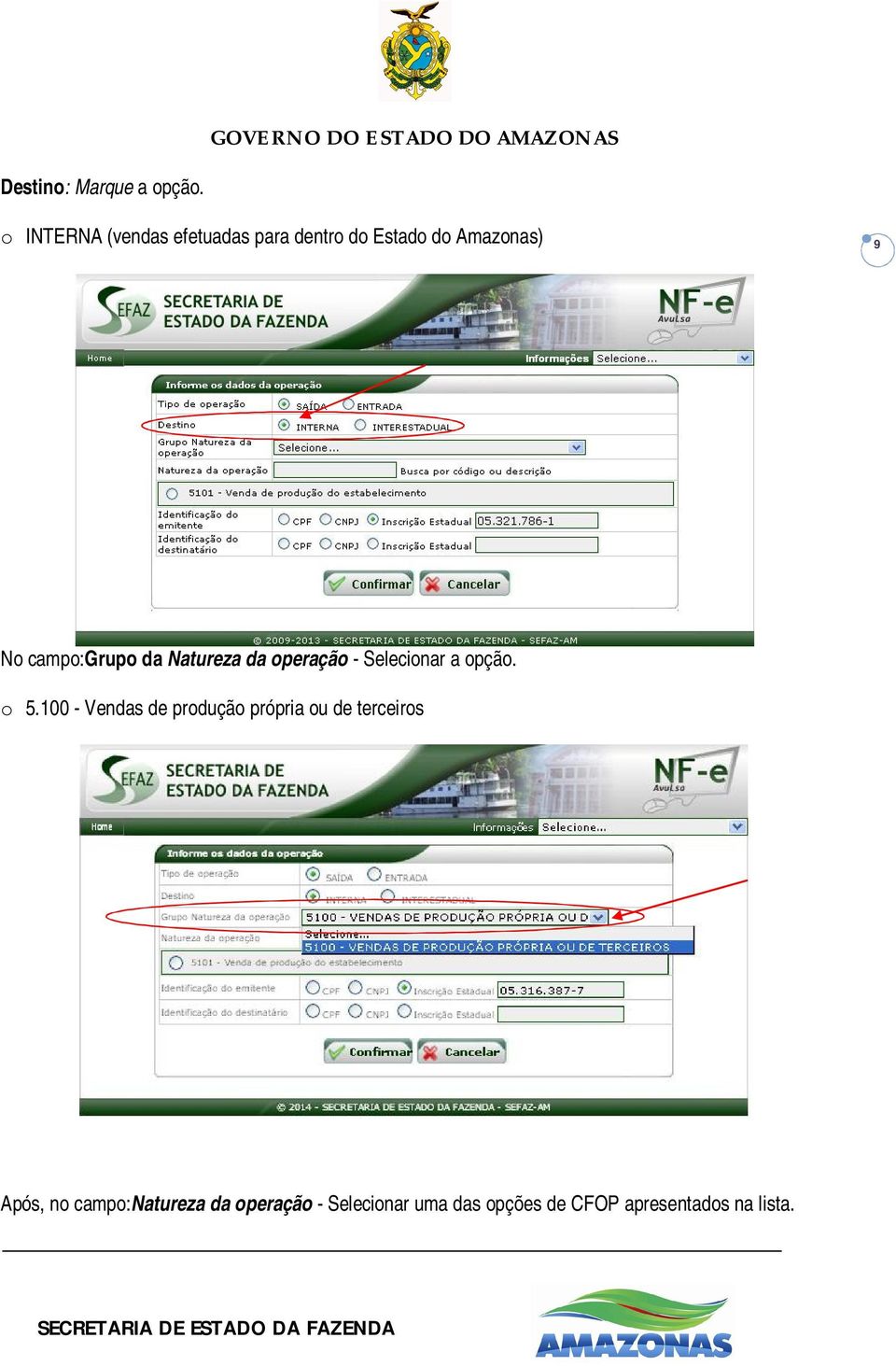 campo:grupo da Natureza da operação - Selecionar a opção. o 5.