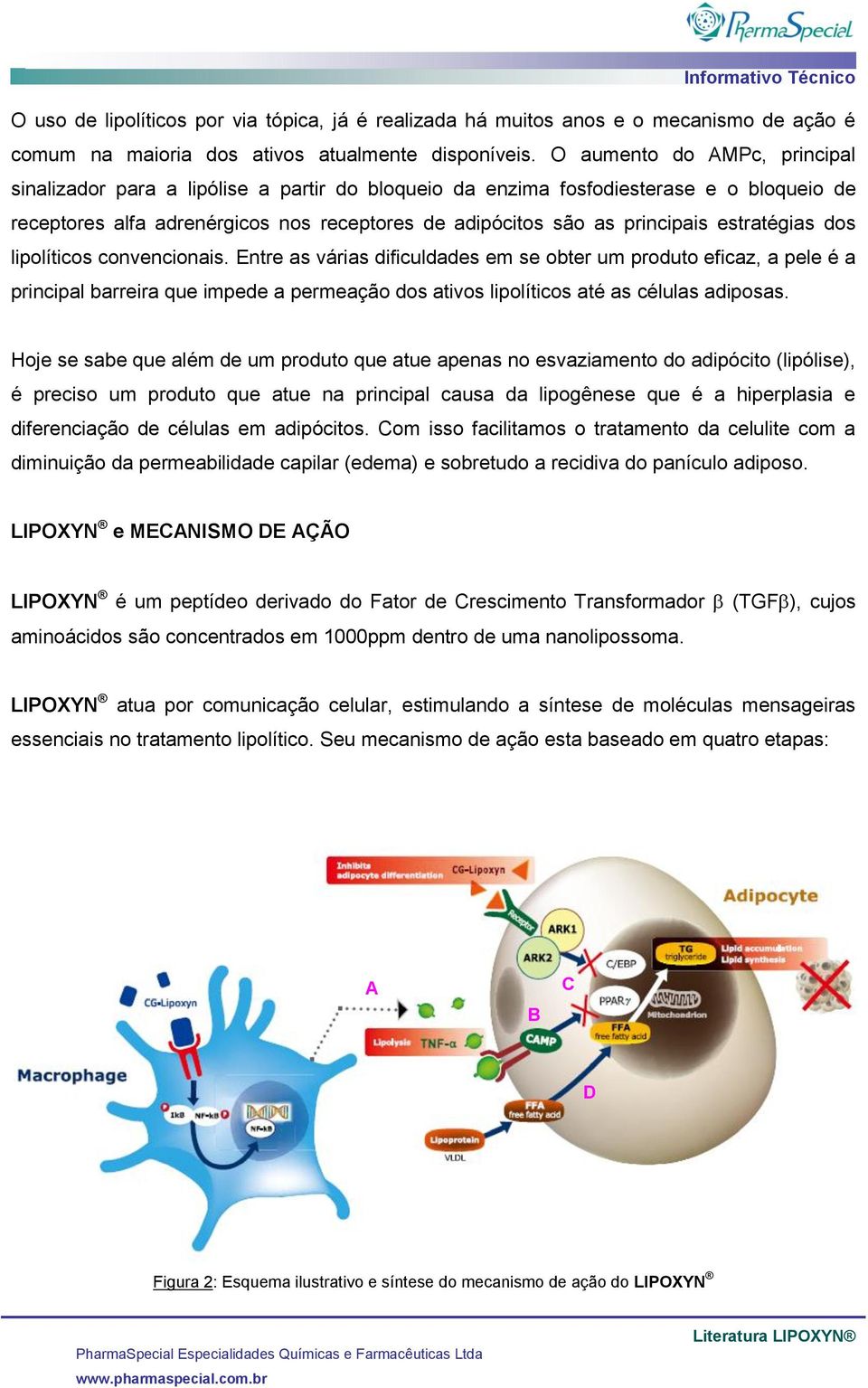 estratégias dos lipolíticos convencionais.