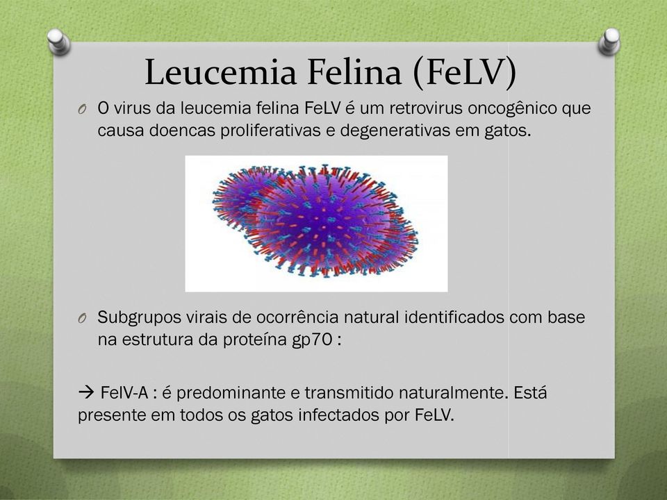 O Subgrupos virais de ocorrência natural identificados com base na estrutura da