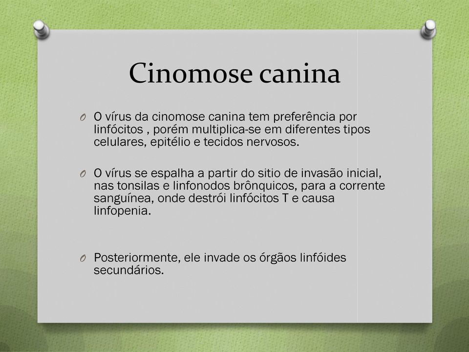 O O vírus se espalha a partir do sitio de invasão inicial, nas tonsilas e linfonodos brônquicos,