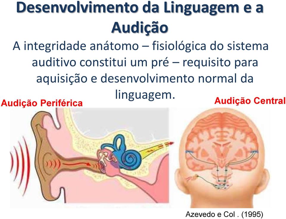 requisito para aquisição e desenvolvimento normal da