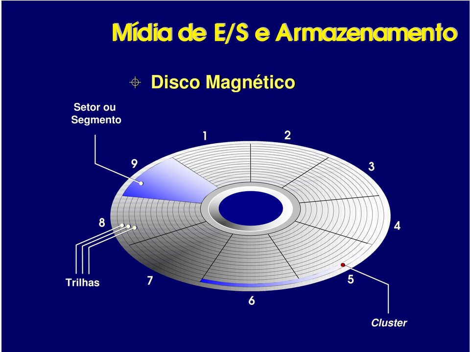 Segmento 1 2 9 3