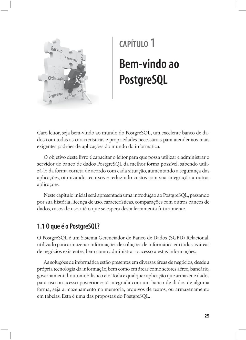 O objetivo deste livro é capacitar o leitor para que possa utilizar e administrar o servidor de banco de dados PostgreSQL da melhor forma possível, sabendo utilizá-lo da forma correta de acordo com