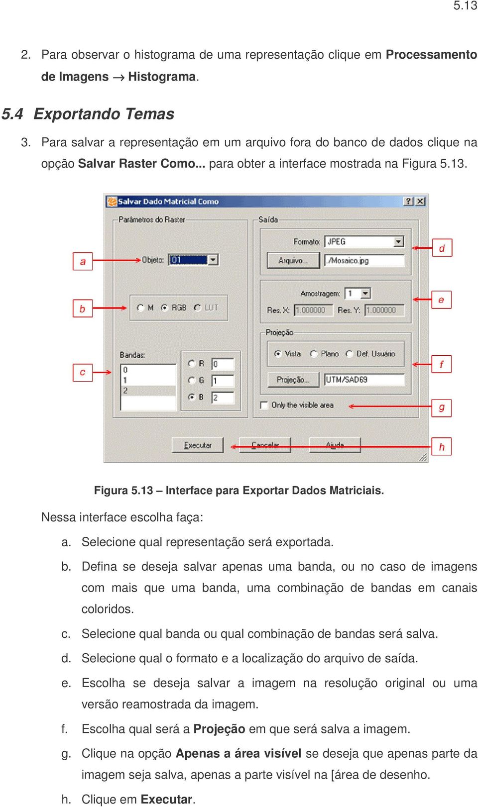 Nessa interface escolha faça: a. Selecione qual representação será exportada. b.