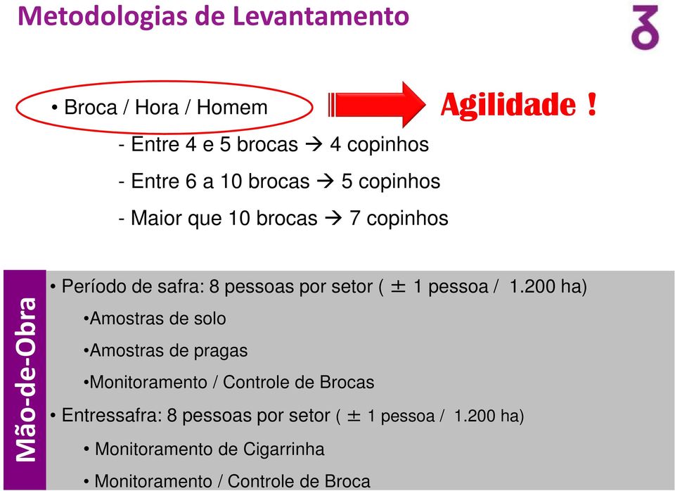 Mão-de-Obra Período de safra: 8 pessoas por setor ( ± 1 pessoa / 1.