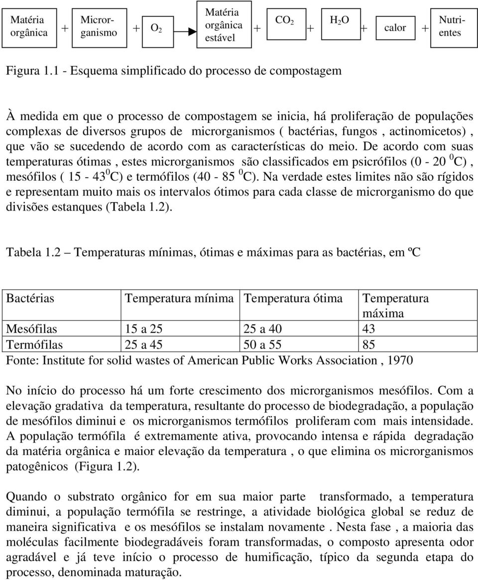 fungos, actinomicetos), que vão se sucedendo de acordo com as características do meio.