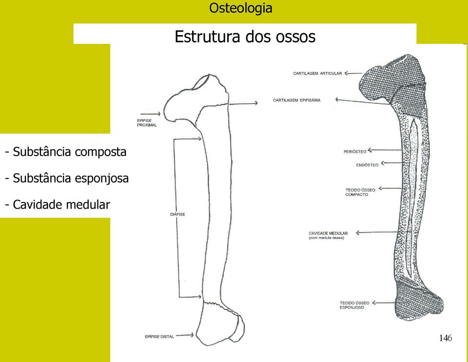 composta - Substância