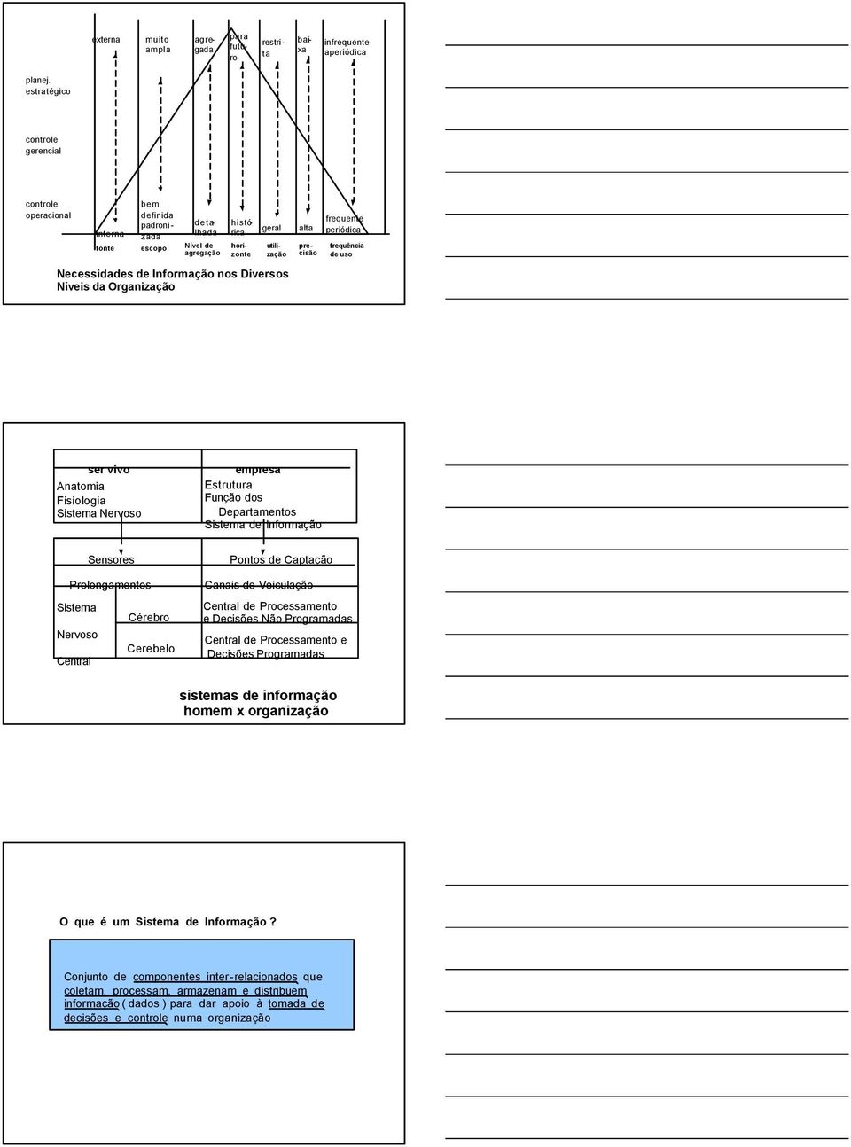 Necessidades de Informação nos Diversos Níveis da Organização ser vivo Anatomia Fisiologia Sistema Nervoso empresa Estrutura Função dos Departamentos Sistema de Informação Sensores Prolongamentos