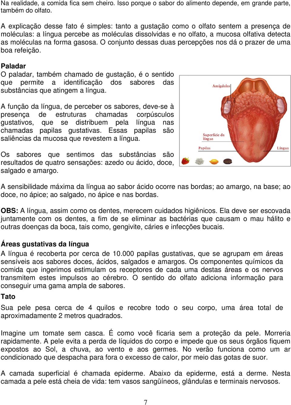 forma gasosa. O conjunto dessas duas percepções nos dá o prazer de uma boa refeição.