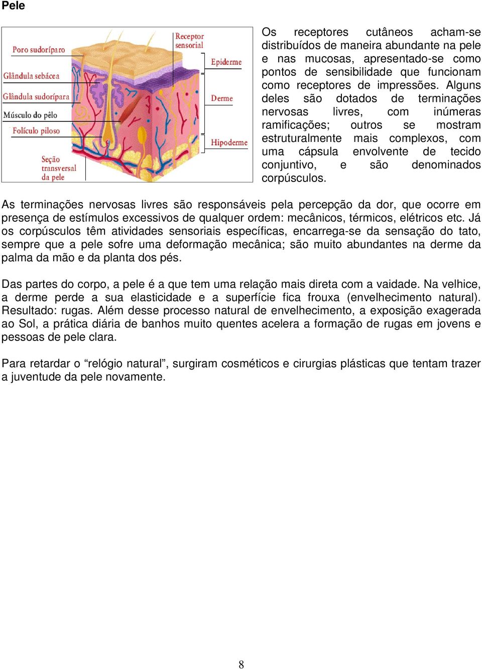 denominados corpúsculos. As terminações nervosas livres são responsáveis pela percepção da dor, que ocorre em presença de estímulos excessivos de qualquer ordem: mecânicos, térmicos, elétricos etc.