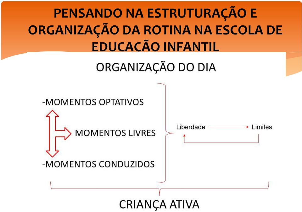 ORGANIZAÇÃO DA