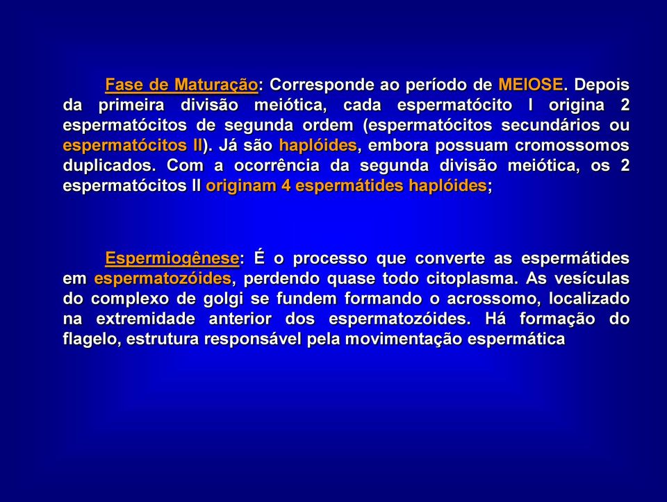 Já são haplóides, embora possuam cromossomos duplicados.