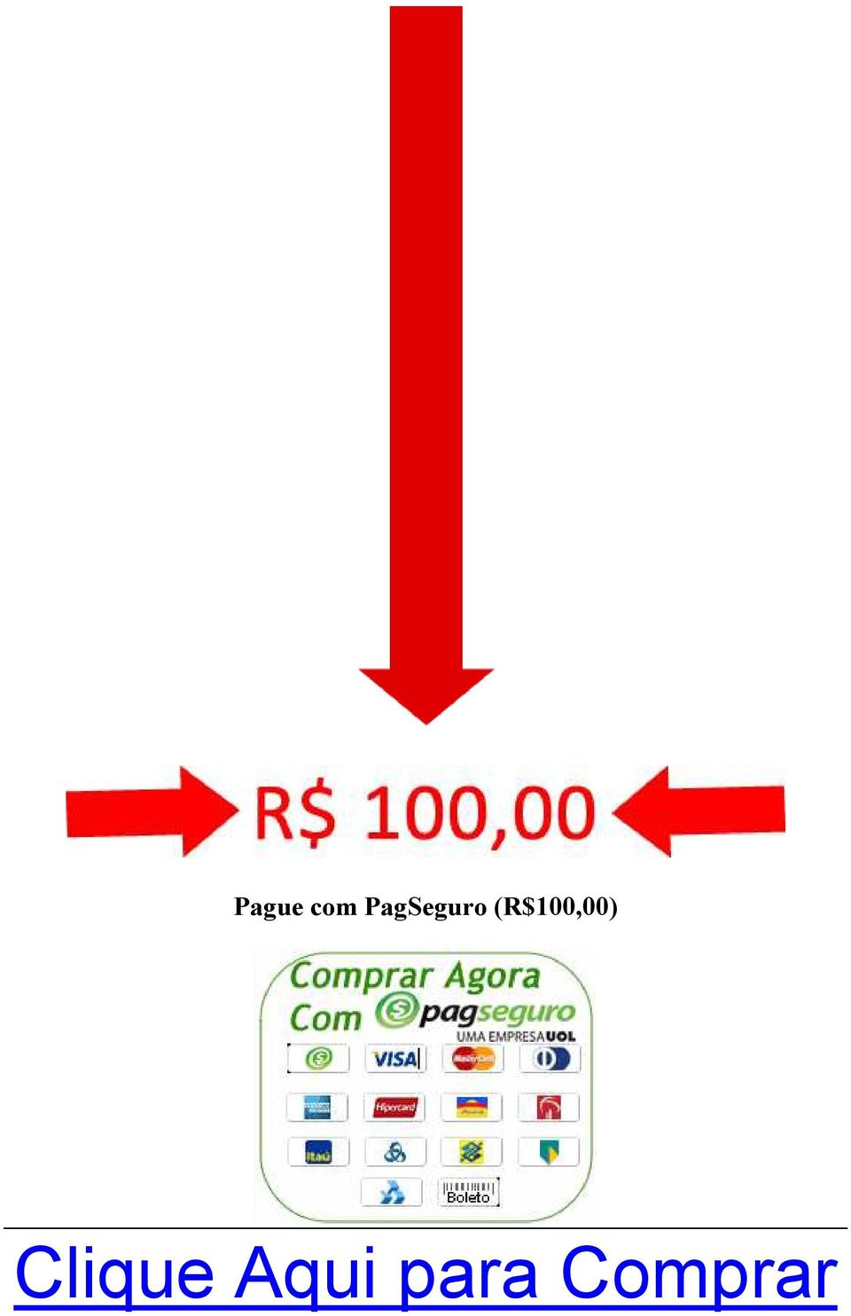 (R$100,00)