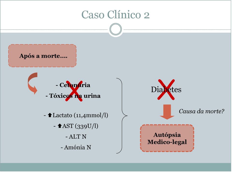 Lactato (11,4mmol/l) - AST (339U/l) - ALT