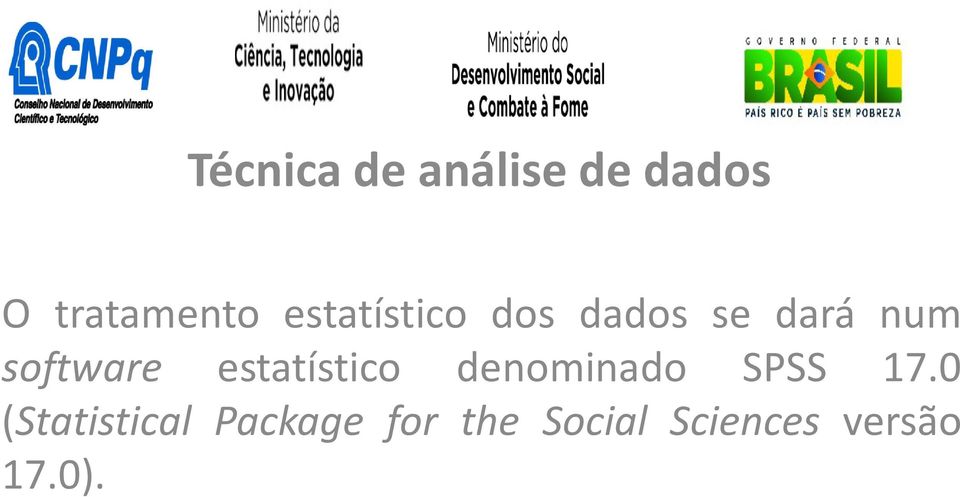 estatístico denominado SPSS 17.