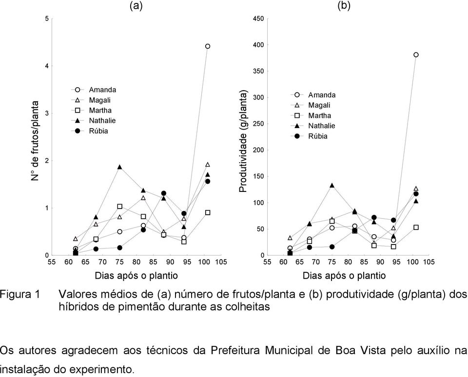 95 100 105 Dias após o plantio Valores médios de (a) número de frutos/planta e (b) produtividade (g/planta) dos híbridos de