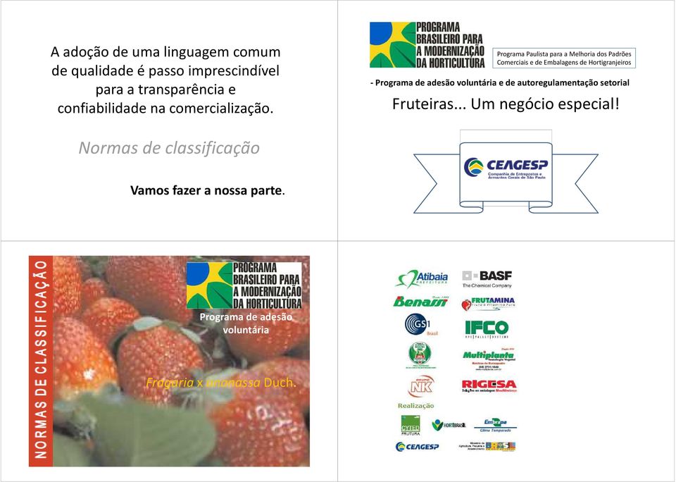 Programa Paulista para a Melhoria dos Padrões Comerciais e de Embalagens de Hortigranjeiros - Programa de