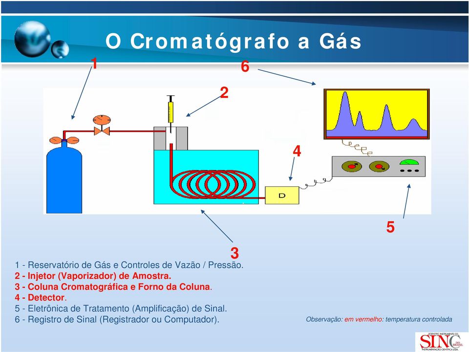 3 - Coluna Cromatográfica e Forno da Coluna. 4 - Detector.