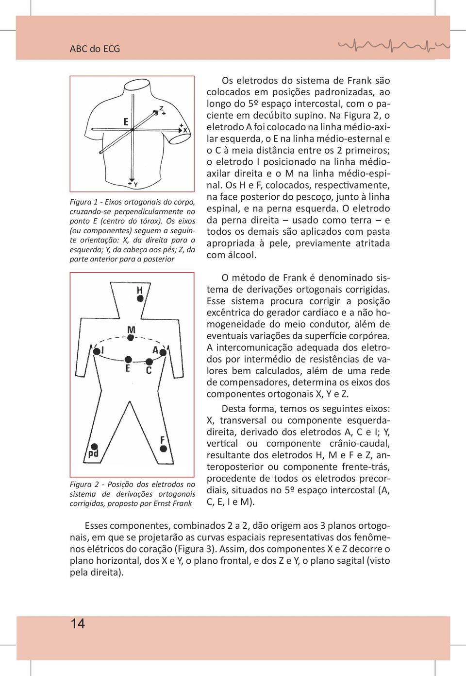 derivações ortogonais corrigidas, proposto por Ernst Frank Os eletrodos do sistema de Frank são colocados em posições padronizadas, ao longo do 5º espaço intercostal, com o paciente em decúbito