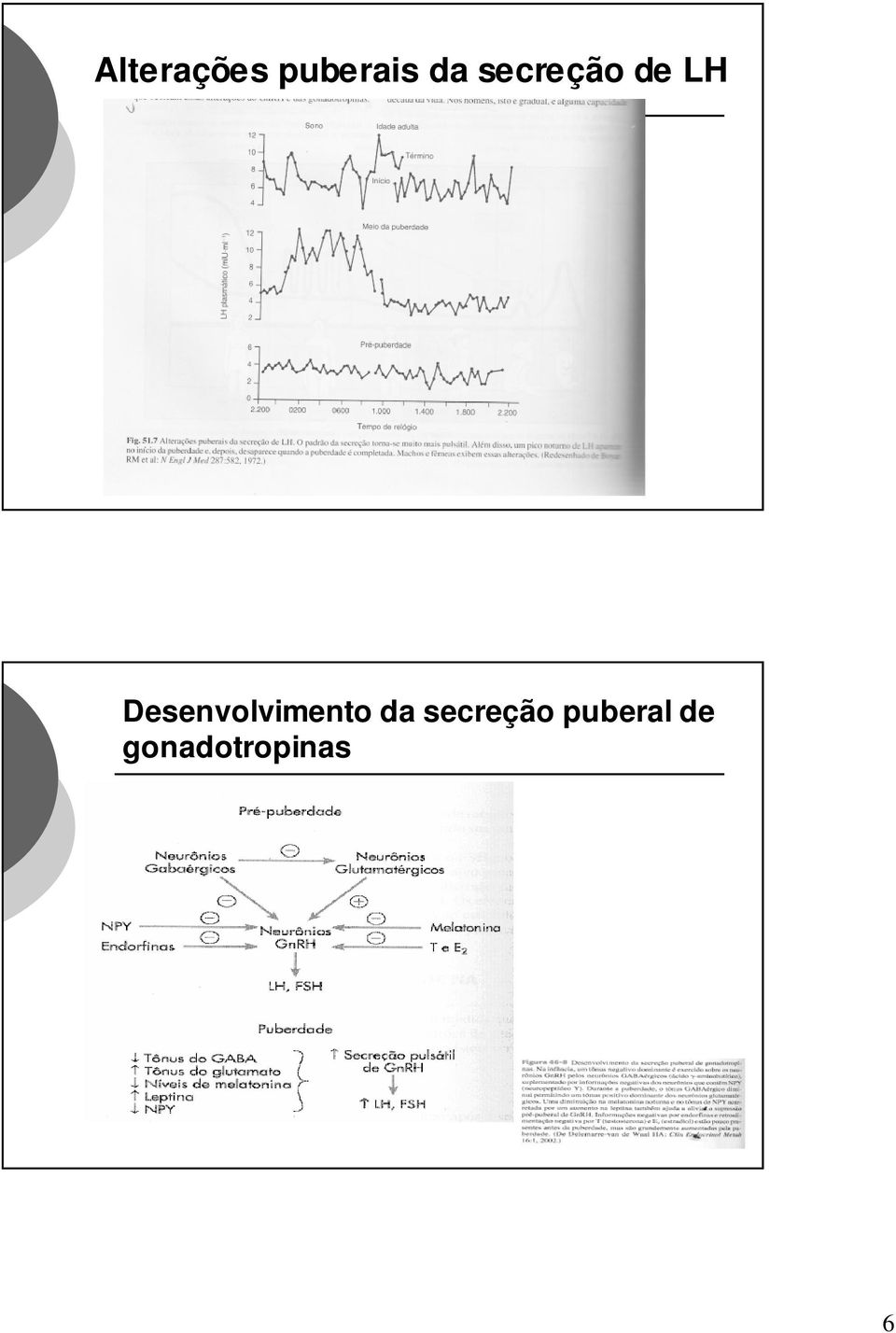 Desenvolvimento da