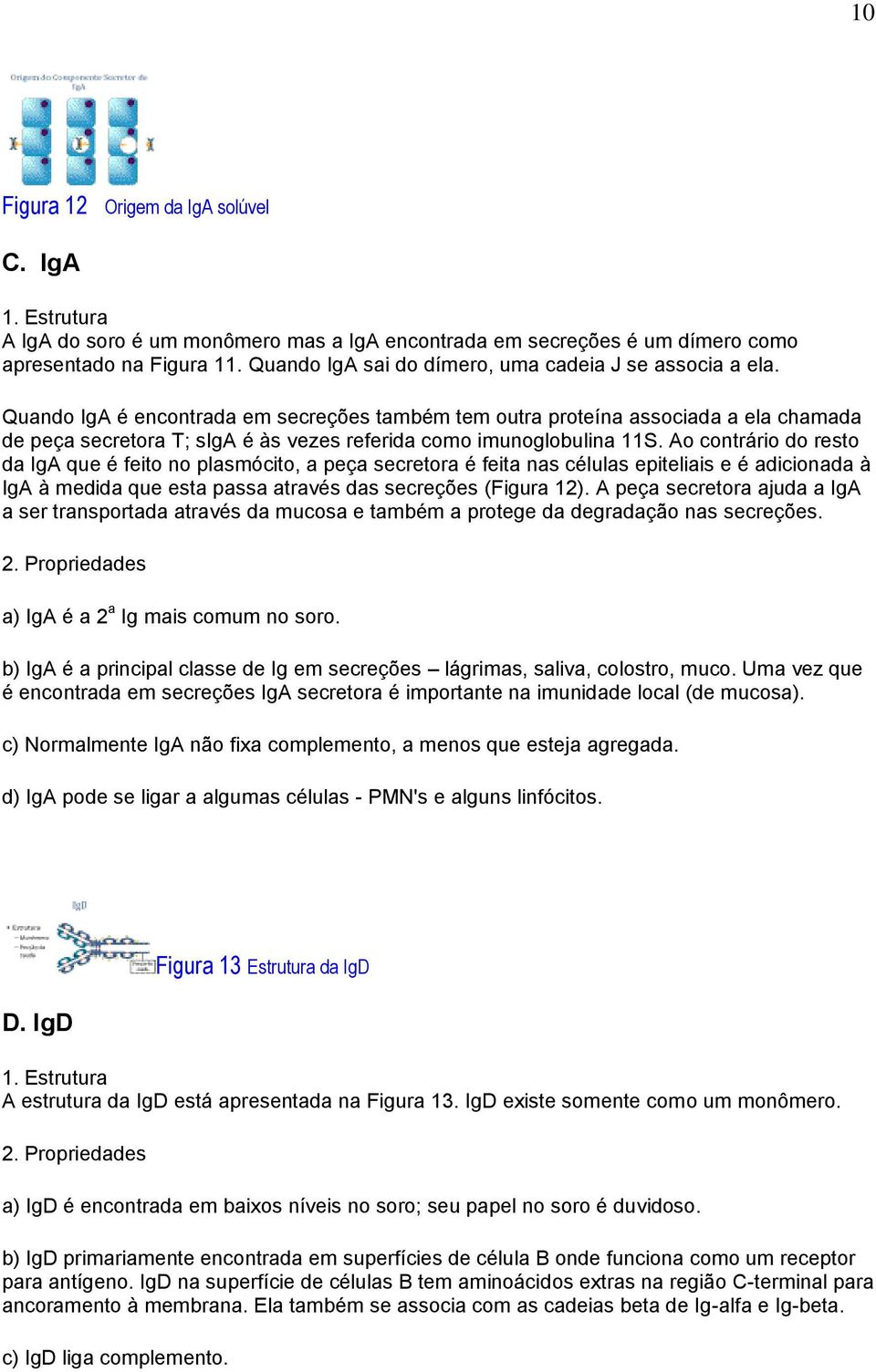 Quando IgA é encontrada em secreções também tem outra proteína associada a ela chamada de peça secretora T; siga é às vezes referida como imunoglobulina 11S.