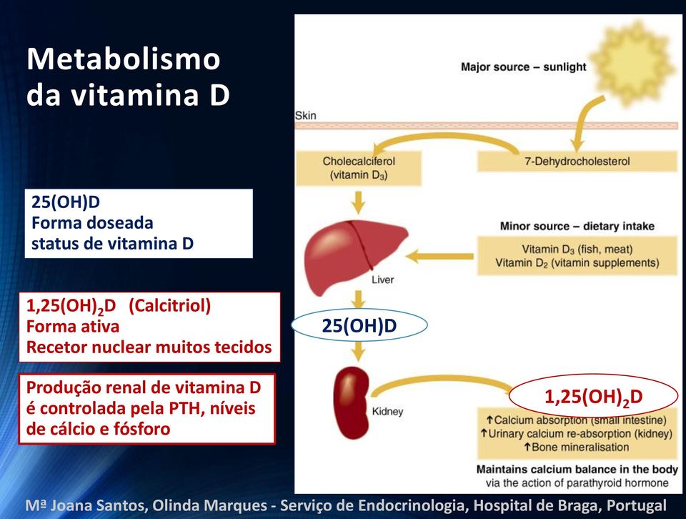 nuclear muitos tecidos 25(OH)D Produção renal de vitamina D