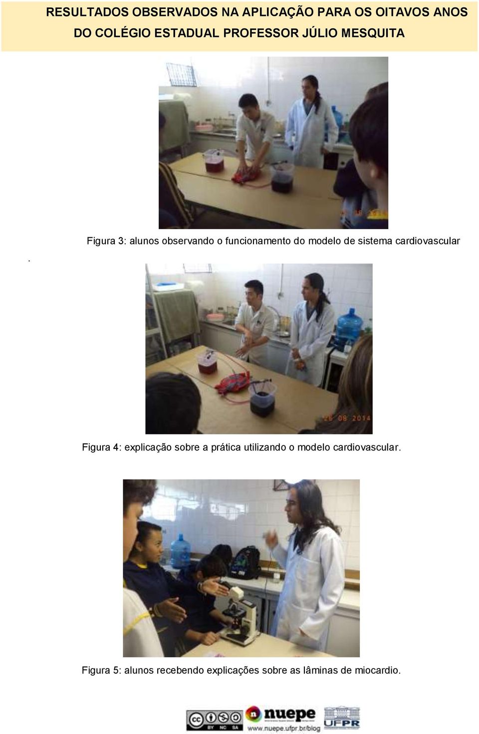 Figura 3: alunos observando o funcionamento do modelo de sistema cardiovascular