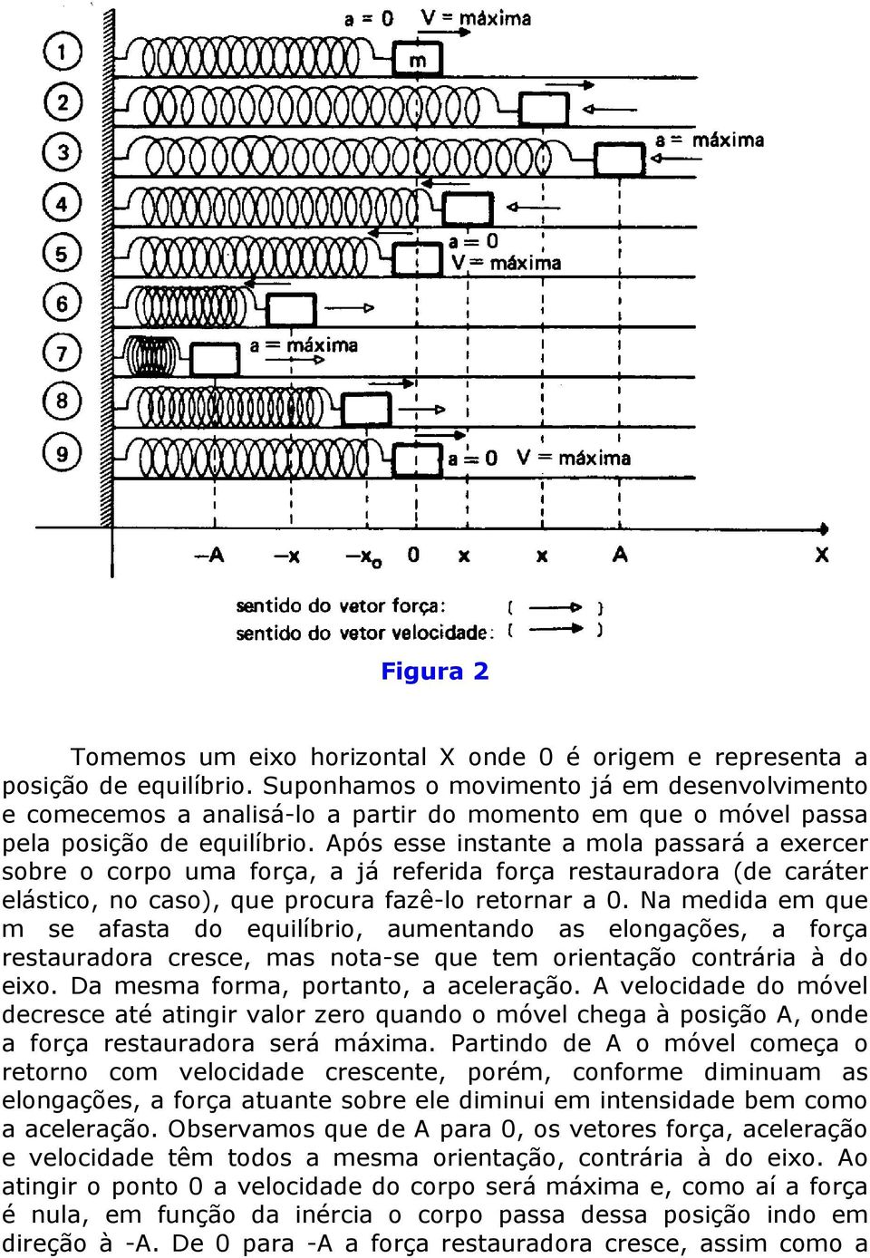 Após esse instante a mola passará a exercer sobre o corpo uma força, a já referida força restauradora (de caráter elástico, no caso), que procura fazê-lo retornar a 0.